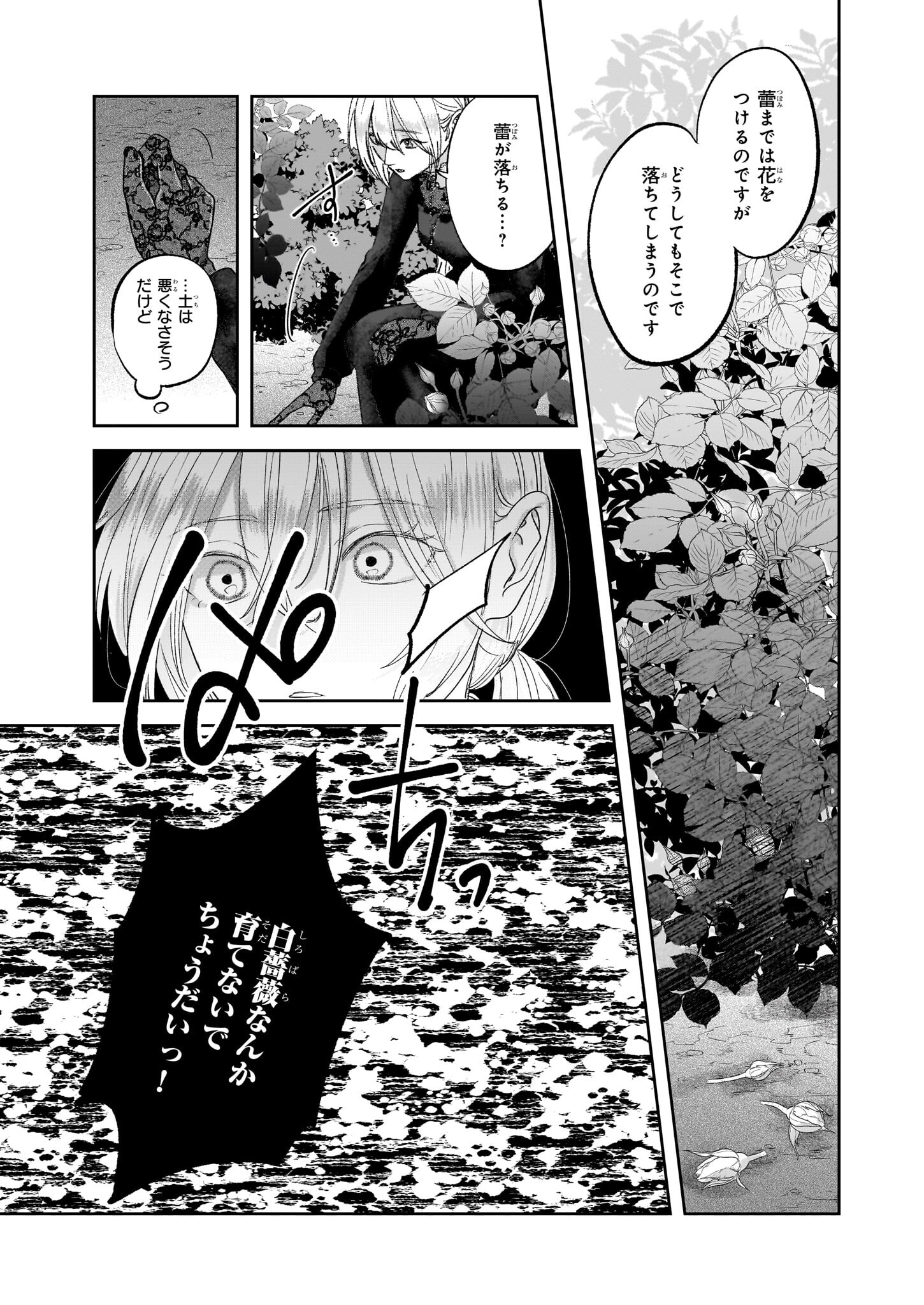 雨の魔女と灰公爵 ～白薔薇が咲かないグラウオール邸の秘密～ 第3.2話 - Page 9