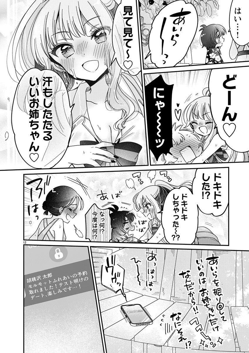 僕はお姉ちゃんのおもちゃ 第11.2話 - Page 2