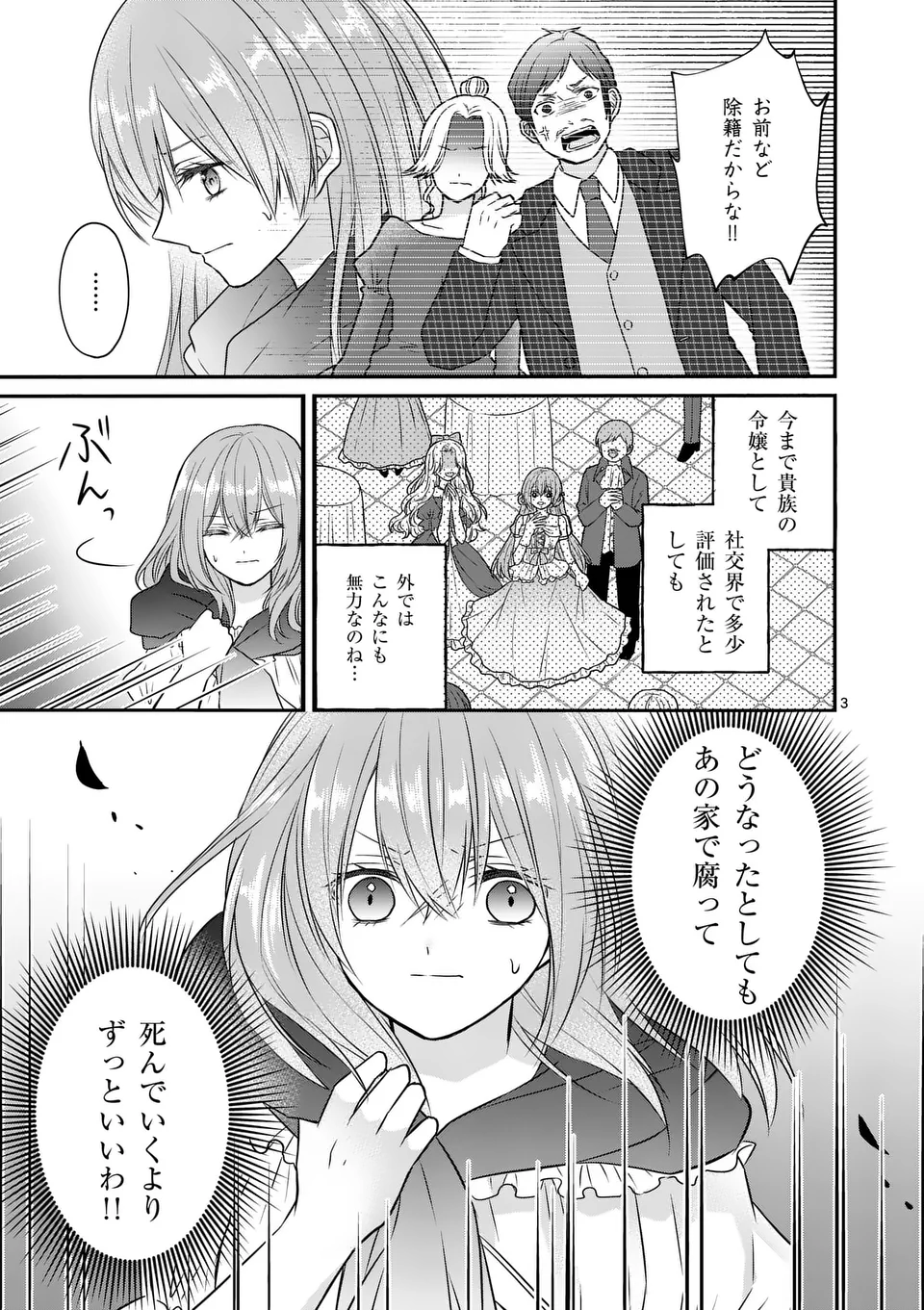 病弱な妹に全てを搾取されてきた令嬢はもう何も奪わせない 第2話 - Page 3