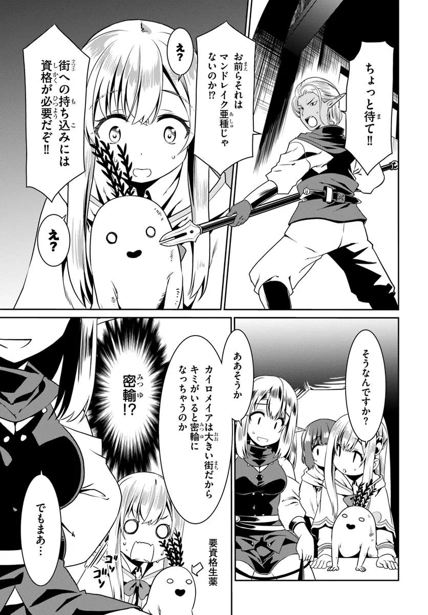 どうやら私の身体は完全無敵のようですね 第74話 - Page 17