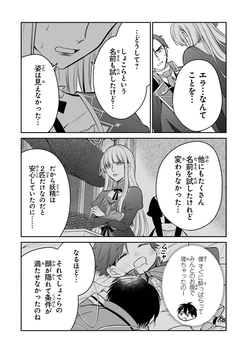 義妹が聖女だからと婚約破棄されましたが、私は妖精の愛し子です 第26.1話 - Page 5