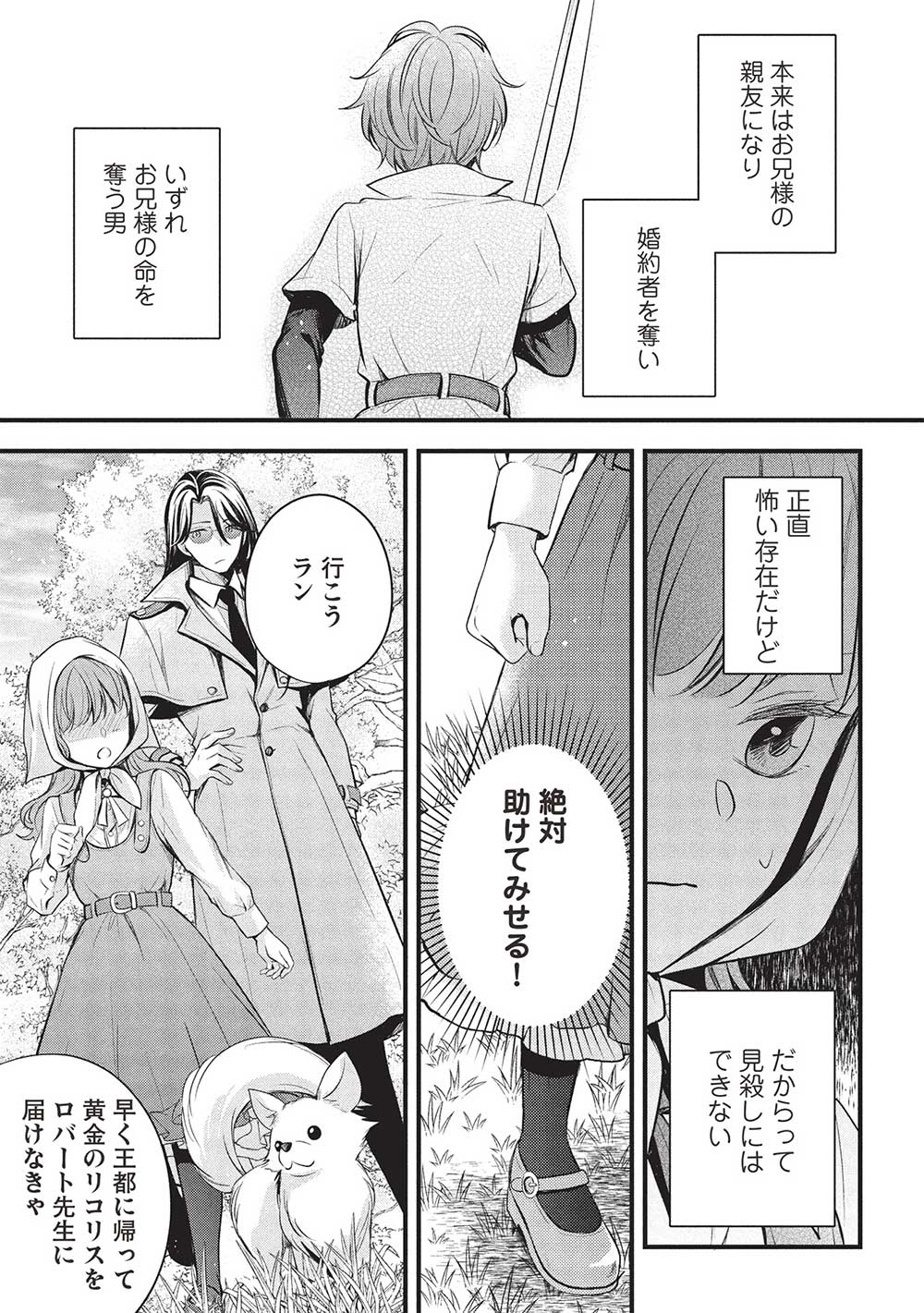 グランアヴェール～お守りの魔導師はラスボスお兄様を救いたい～ 第17話 - Page 13