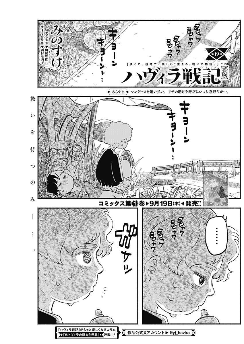 ハヴィラ戦記 第19話 - Page 1