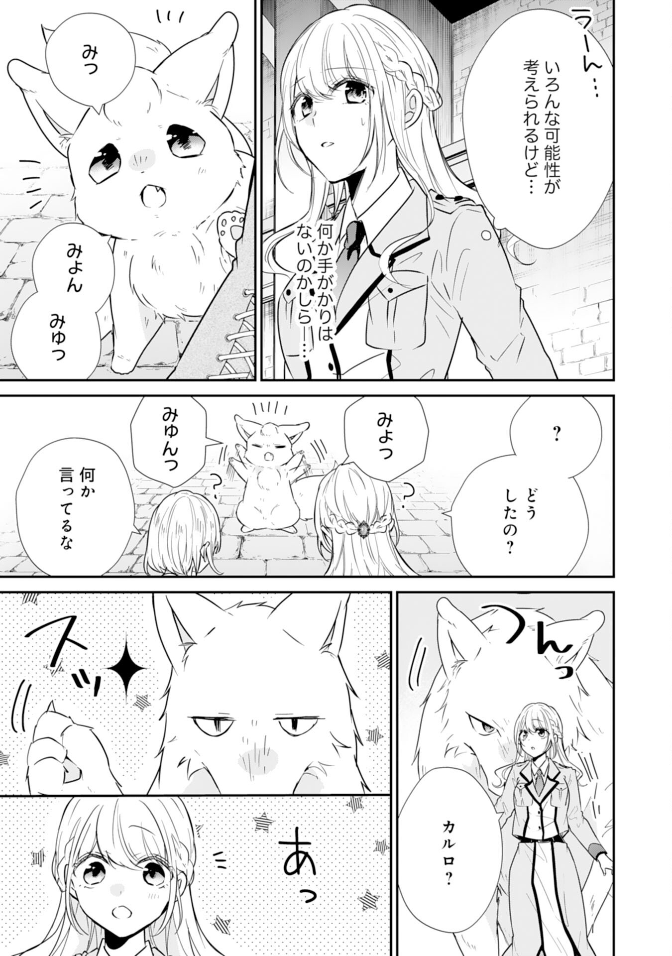 平凡な私の獣騎士団もふもふライフ 第25話 - Page 23