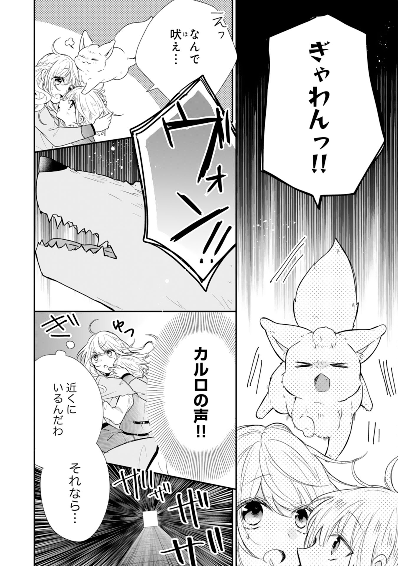 平凡な私の獣騎士団もふもふライフ 第26話 - Page 6