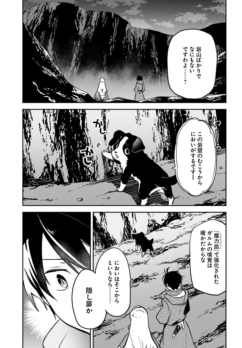 Henkyou Gurashi No Maou, Tensei Shite Saikyou No Majutsushi Ni Naru (manga) 第43話 - Page 11