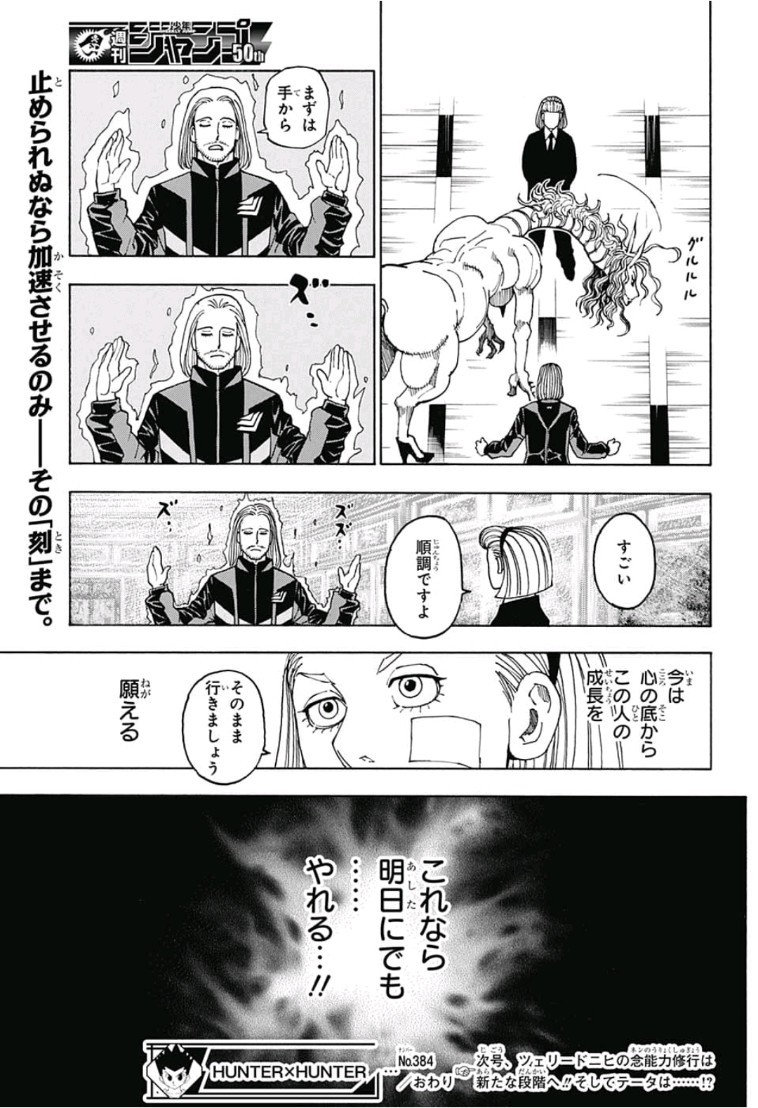 ハンター×ハンター 第384話 - Page 17