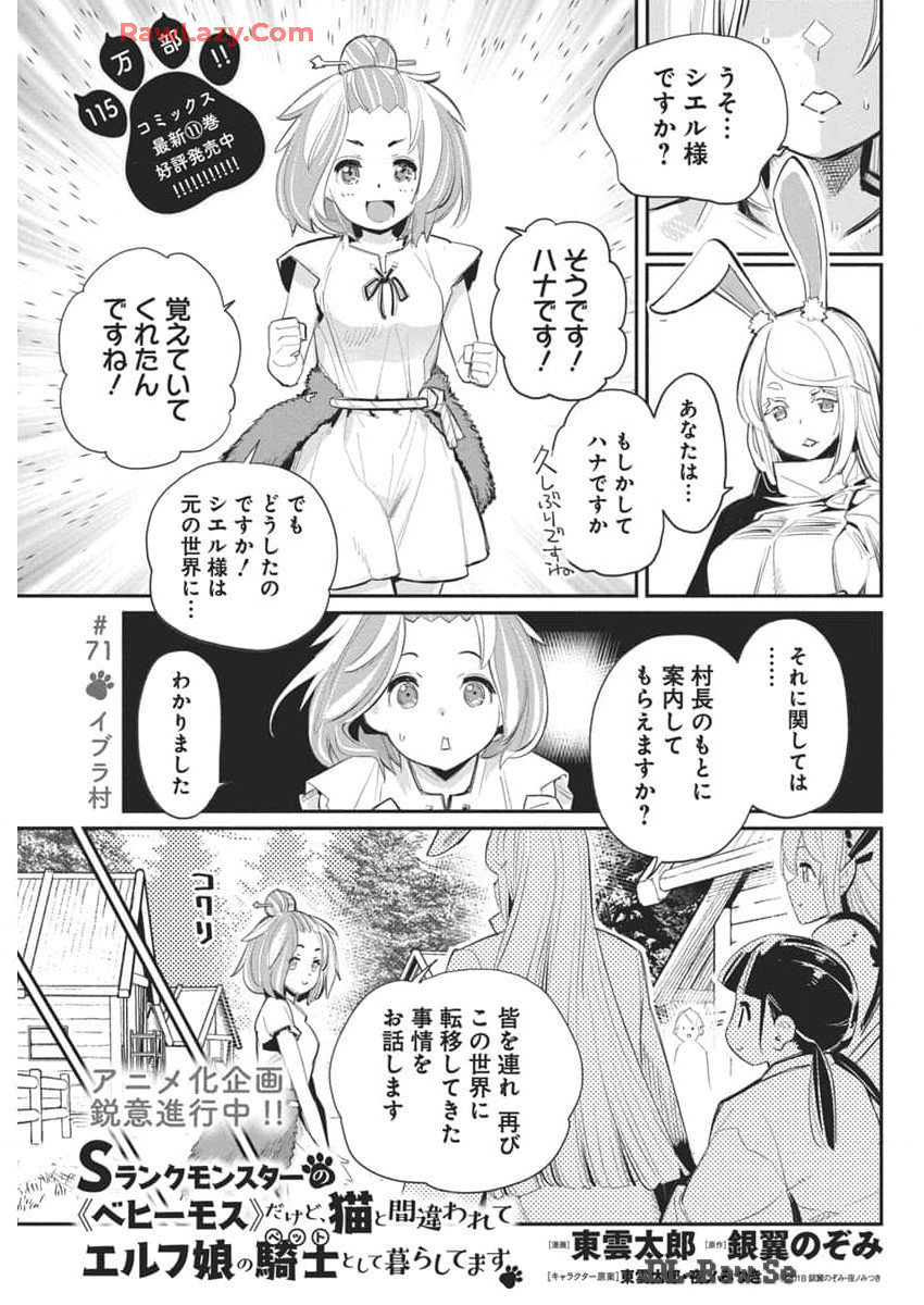 Sランクモンスターの《ベヒーモス》だけどネコと間違われてエルフ娘の騎士として暮らしています 第71話 - Page 2