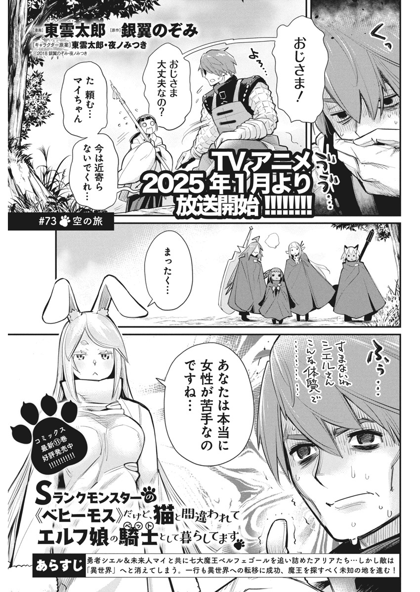 Sランクモンスターの《ベヒーモス》だけどネコと間違われてエルフ娘の騎士として暮らしています 第73話 - Page 1