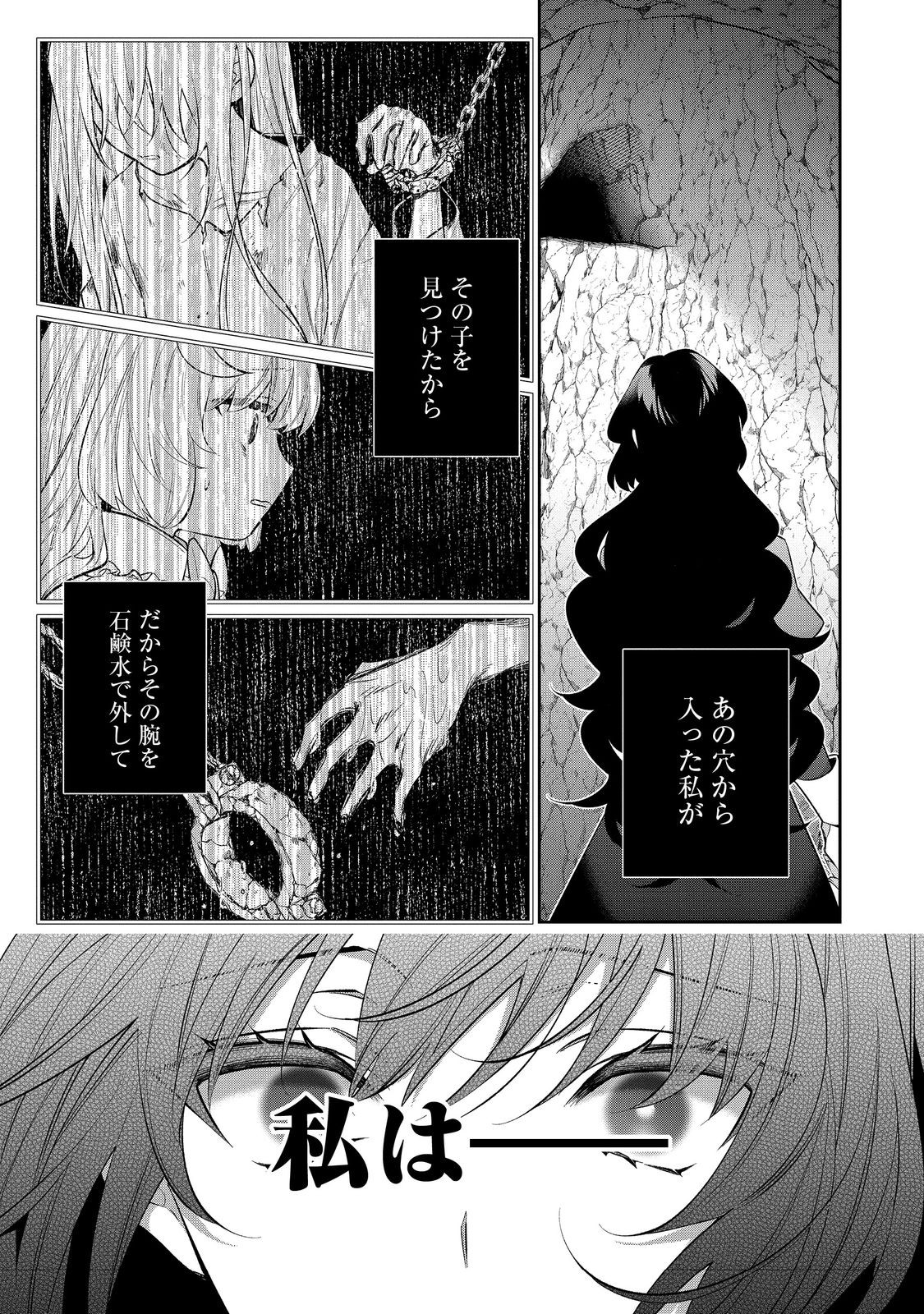 悪役令嬢ですが攻略対象の様子が異常すぎる 第28.2話 - Page 11