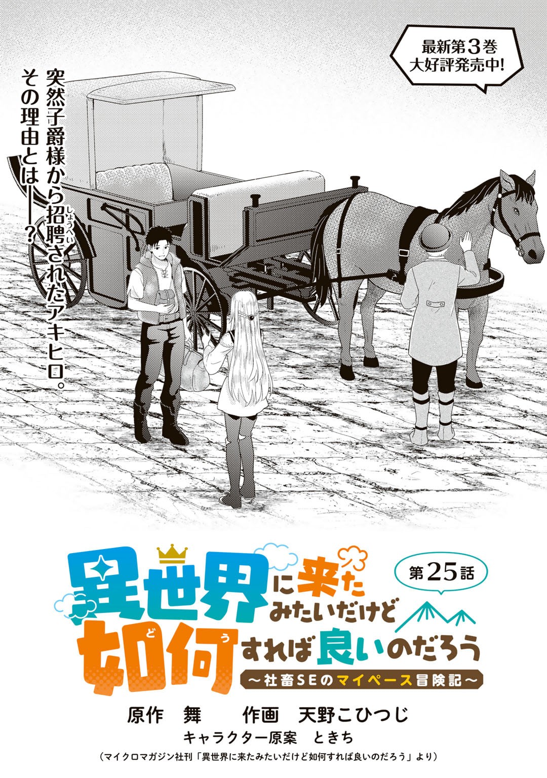 異世界に来たみたいだけど如何すれば良いのだろう～社畜SEのマイペース冒険記～ 第25話 - Page 1