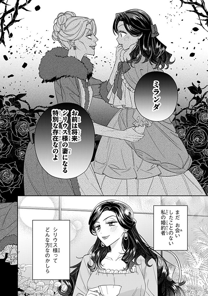 自由気ままな精霊姫 第14.1話 - Page 3