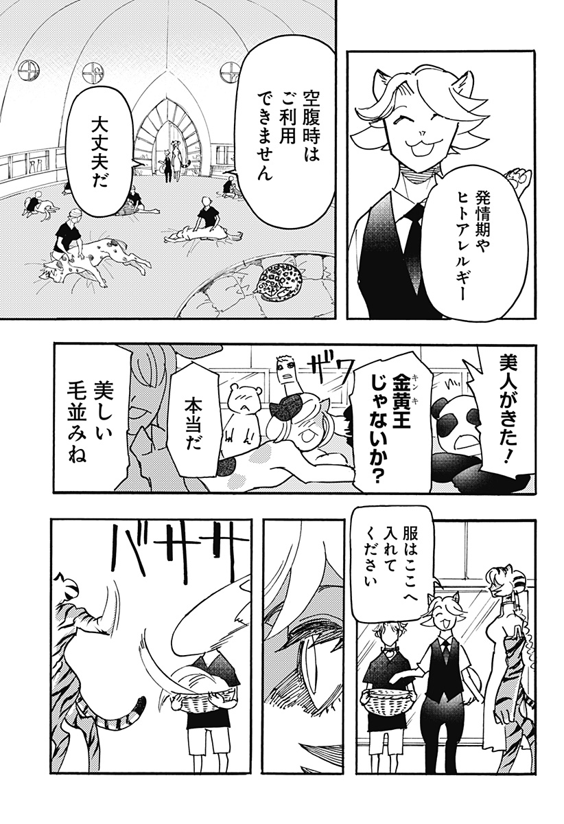 ケモノクニ 第45話 - Page 13