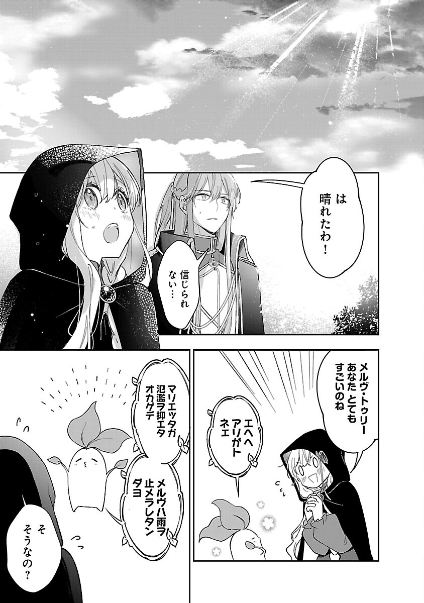 嫌われ魔女と体が入れ替わったけれど、私は今日も元気に暮らしています！ 第16話 - Page 29