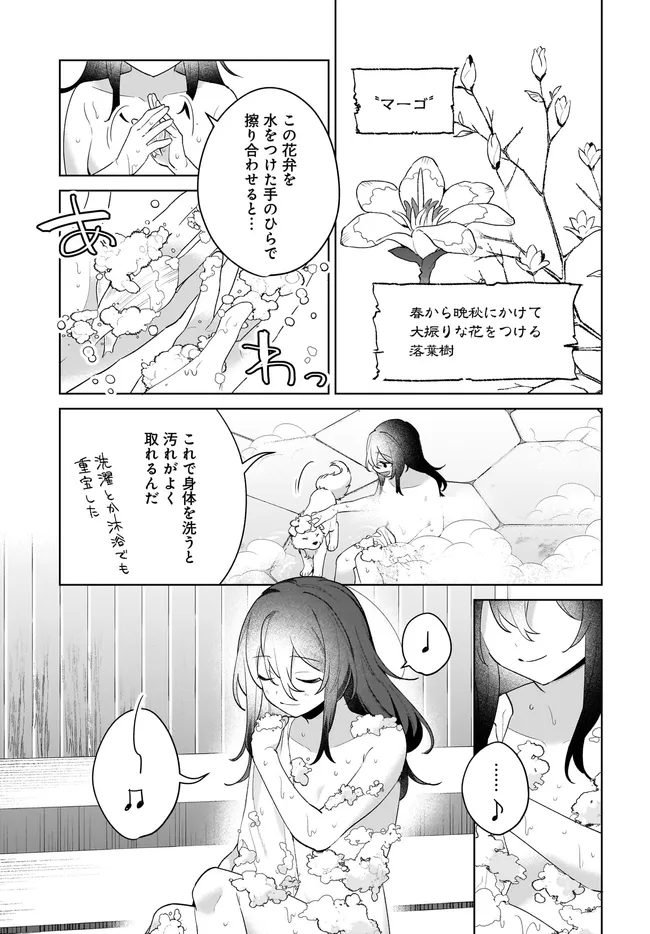 薬売りの聖女 ～冤罪で追放された薬師は、辺境の地で幸せを掴む～ 第6.1話 - Page 8