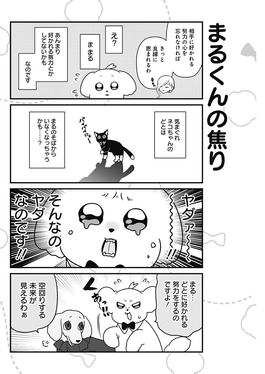 まるくん～はたらくマルチーズ～ 第54話 - Page 6