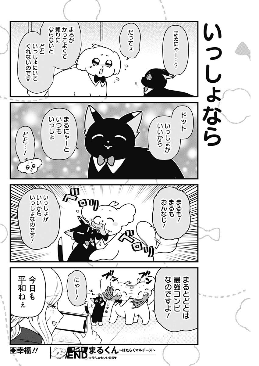 まるくん～はたらくマルチーズ～ 第54話 - Page 8