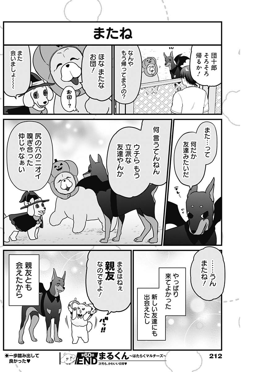 まるくん～はたらくマルチーズ～ 第60話 - Page 8