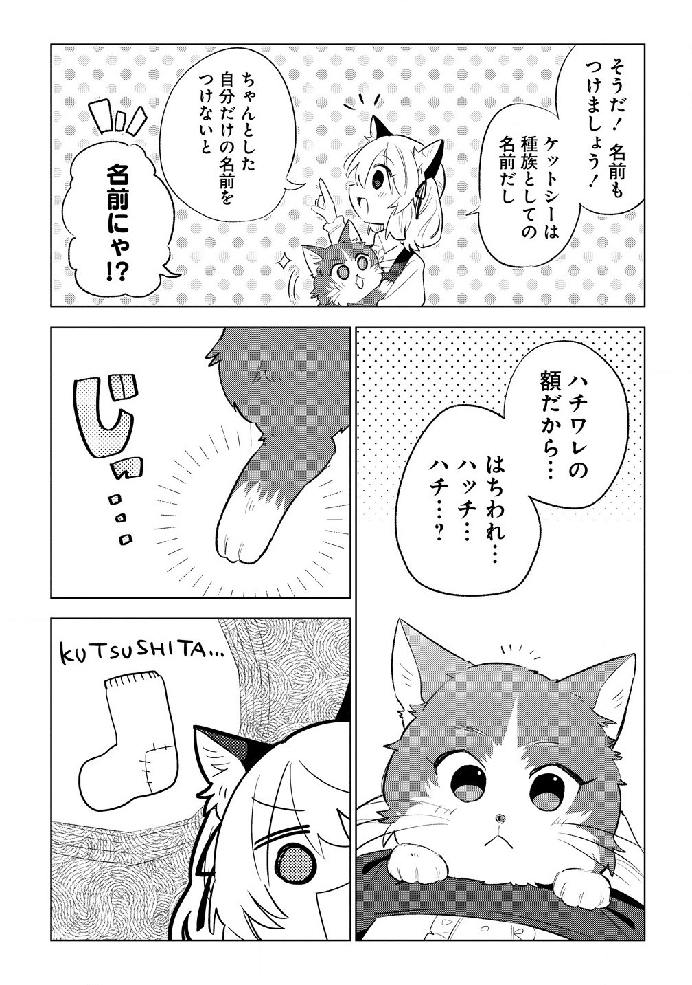 猫耳少女は森でスローライフを送りたい ～もふもふは所望しましたが、聖女とか王子様とかは注文外です～ 第5.2話 - Page 13