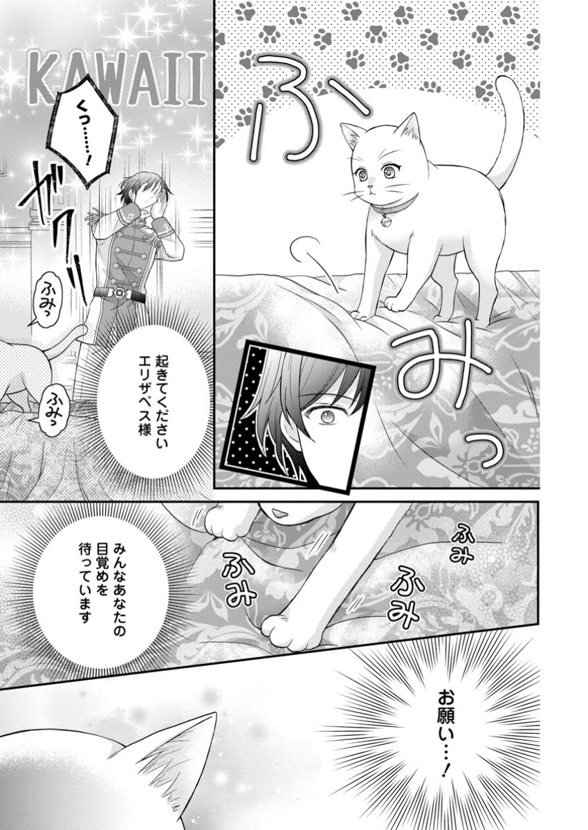 呪いで猫にされた悪女、王太子に拾われる。 第7.1話 - Page 5