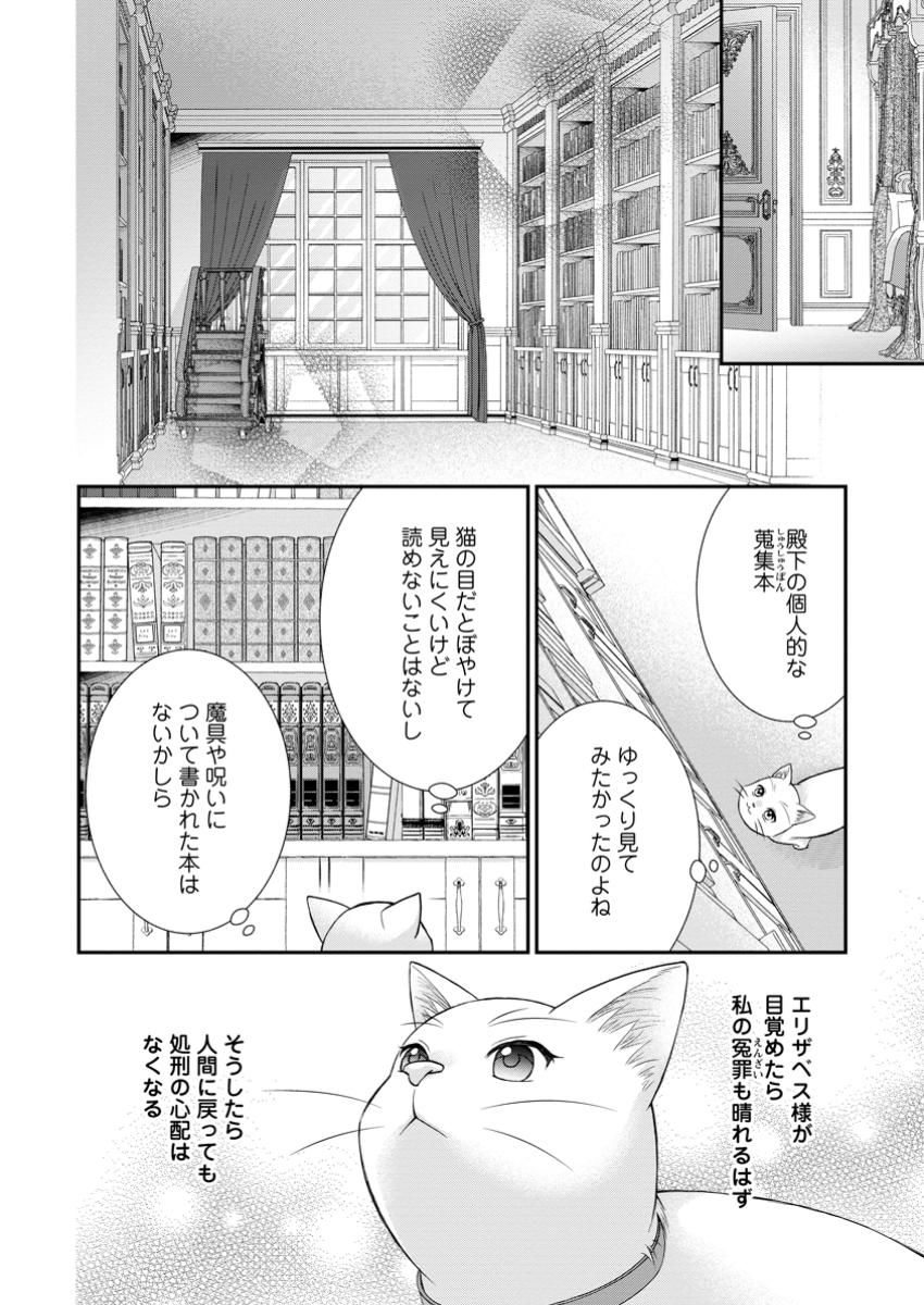 呪いで猫にされた悪女、王太子に拾われる。 第7.2話 - Page 7