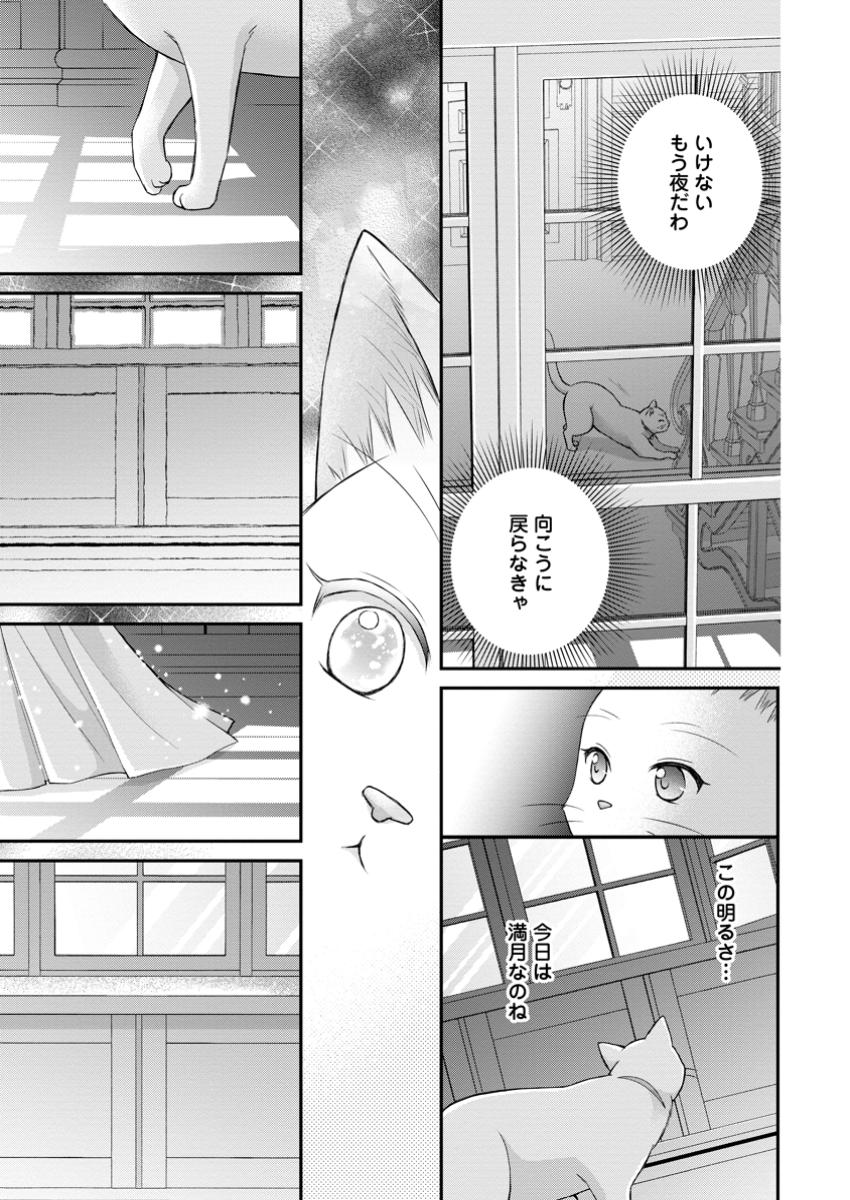 呪いで猫にされた悪女、王太子に拾われる。 第7.2話 - Page 10