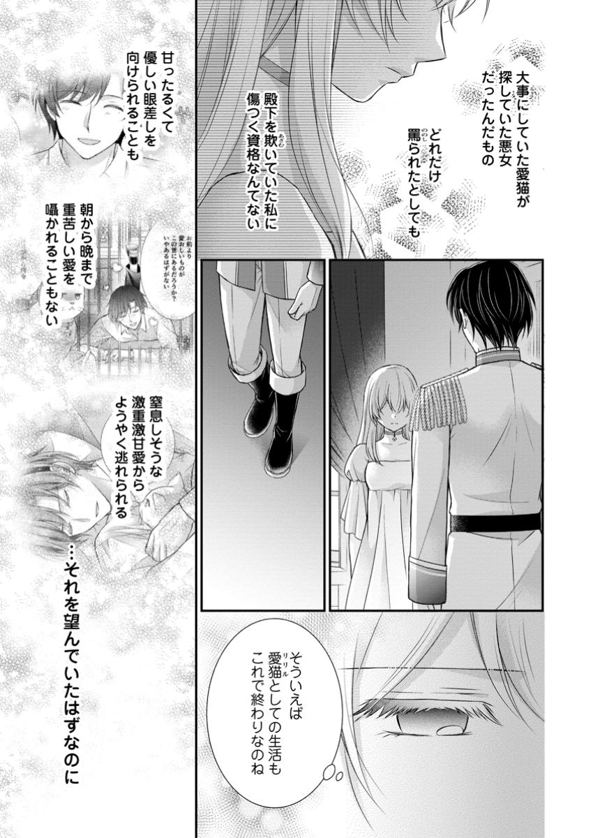 呪いで猫にされた悪女、王太子に拾われる。 第8.1話 - Page 5