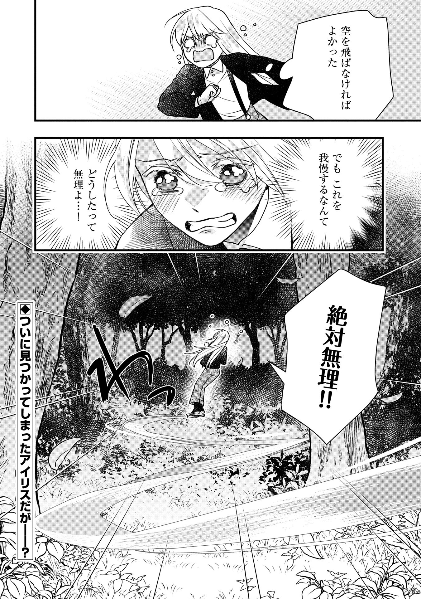 王空騎士団と救国の少女～空を飛ぶ少女アイリスの物語～ 第6話 - Page 32