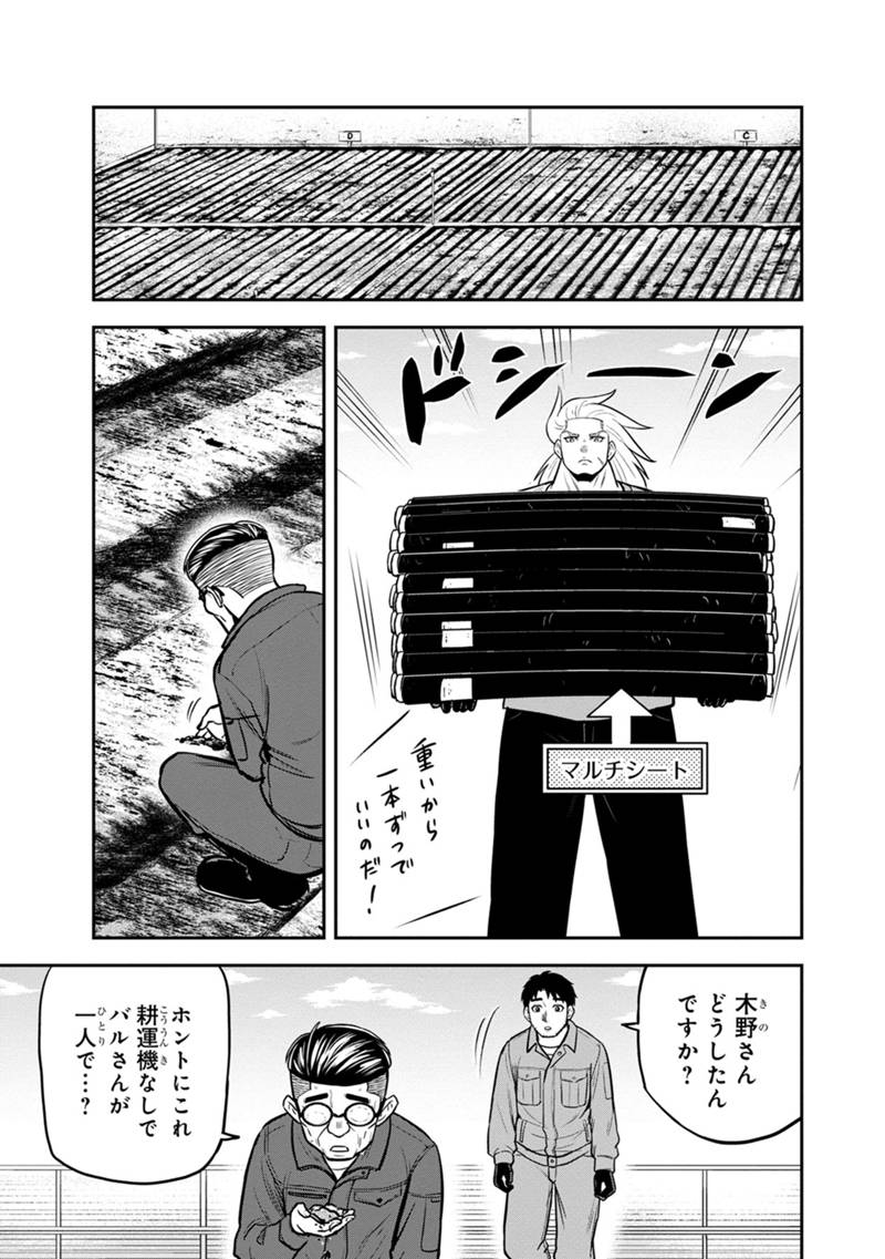 俺んちに来た女騎士と田舎暮らしすることになった件 第141話 - Page 17