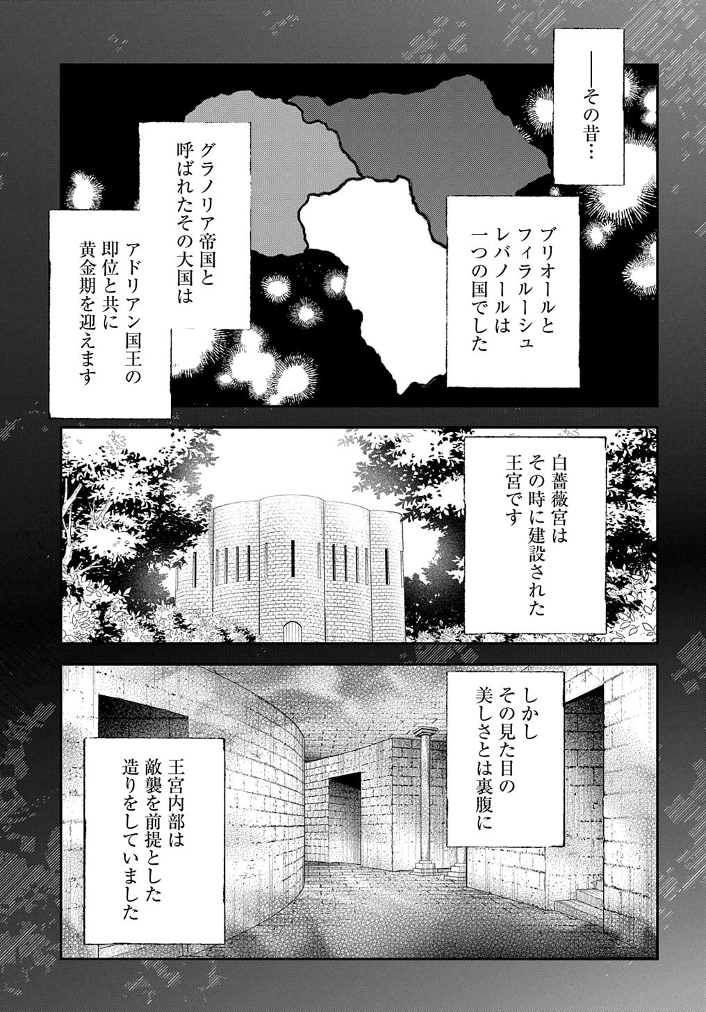 王太子に婚約破棄されたので、もうバカのふりはやめようと思います 第25話 - Page 13