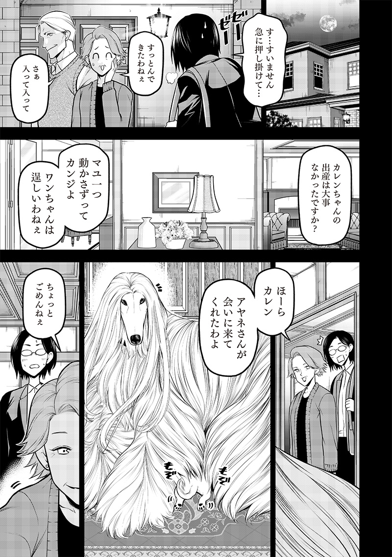 ポン太がヒトになりまして。犬がヒトになる話 My Dog Becomes a Human 第33話 - Page 13