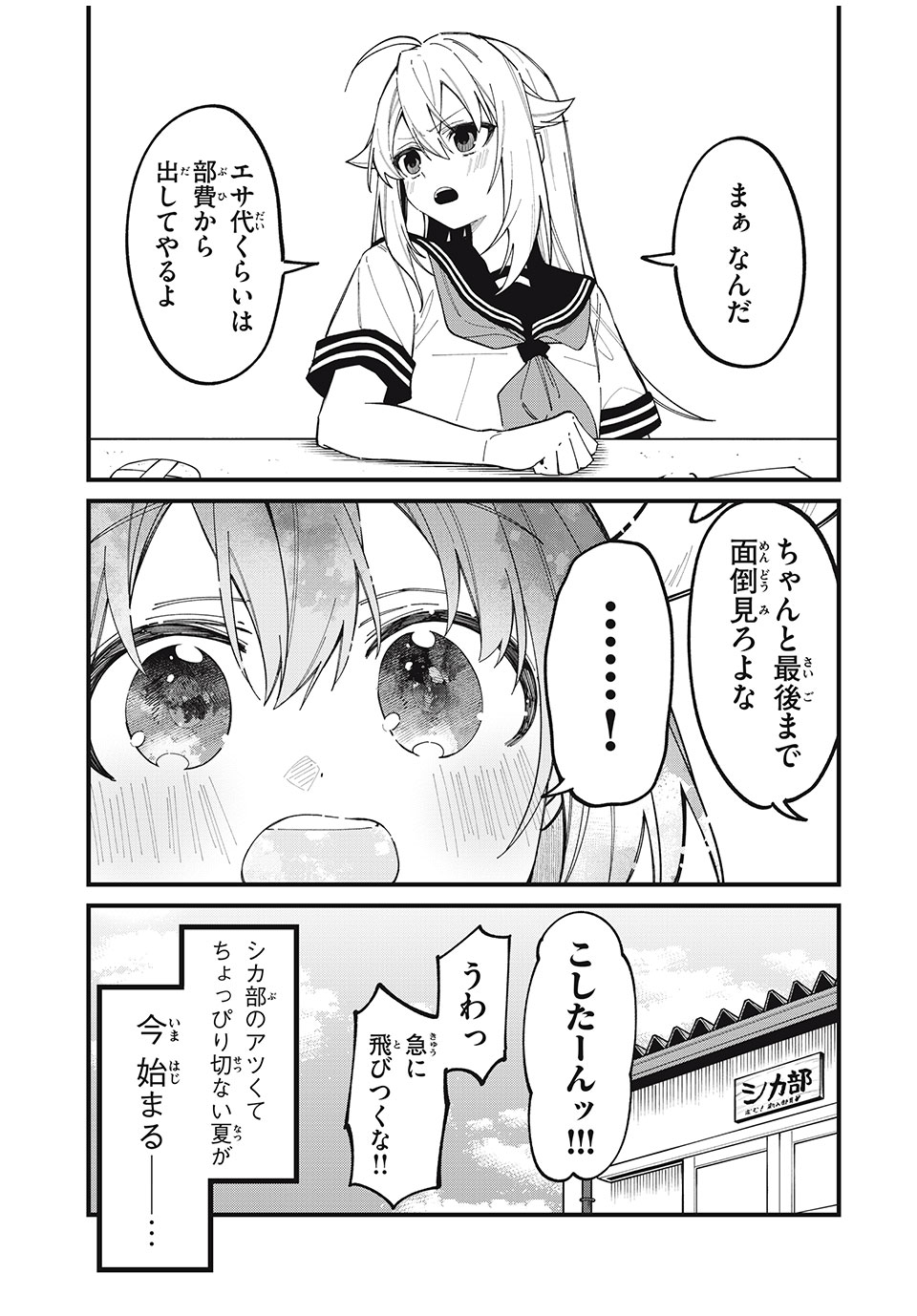 しかのこのこのここしたんたん 第44話 - Page 19