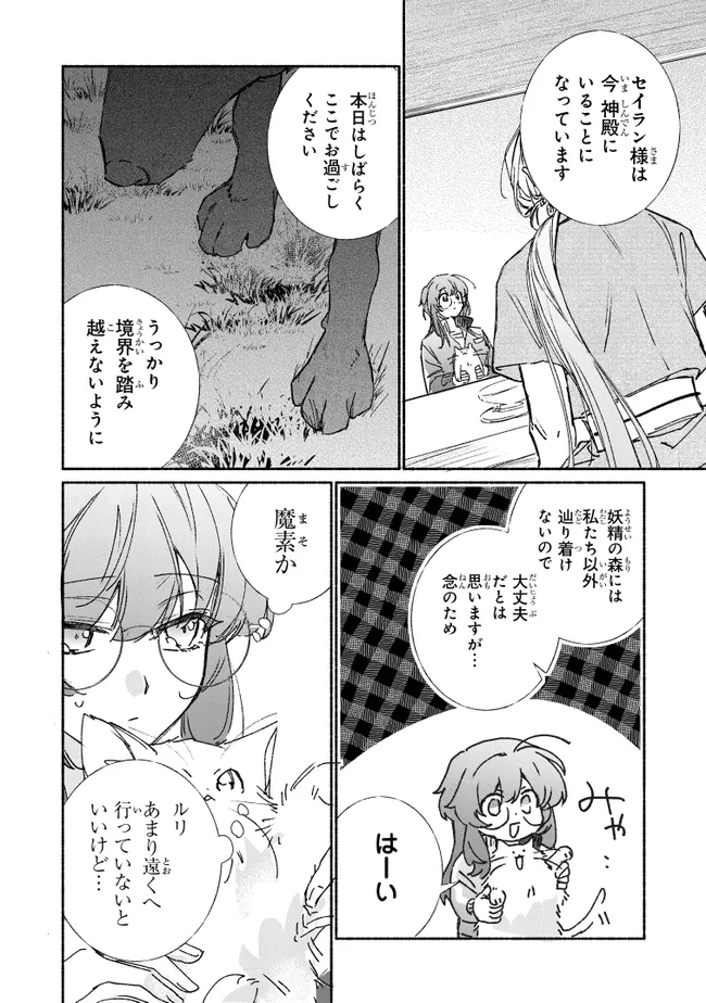 ただのコスプレイヤーなので聖女は辞めてもいいですか？ 第8.2話 - Page 9