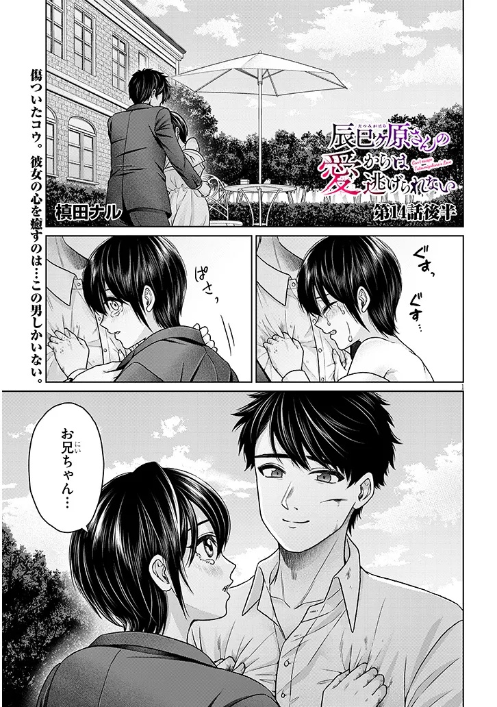 辰巳ヶ原さんの愛からは逃げられない 第14.2話 - Page 1