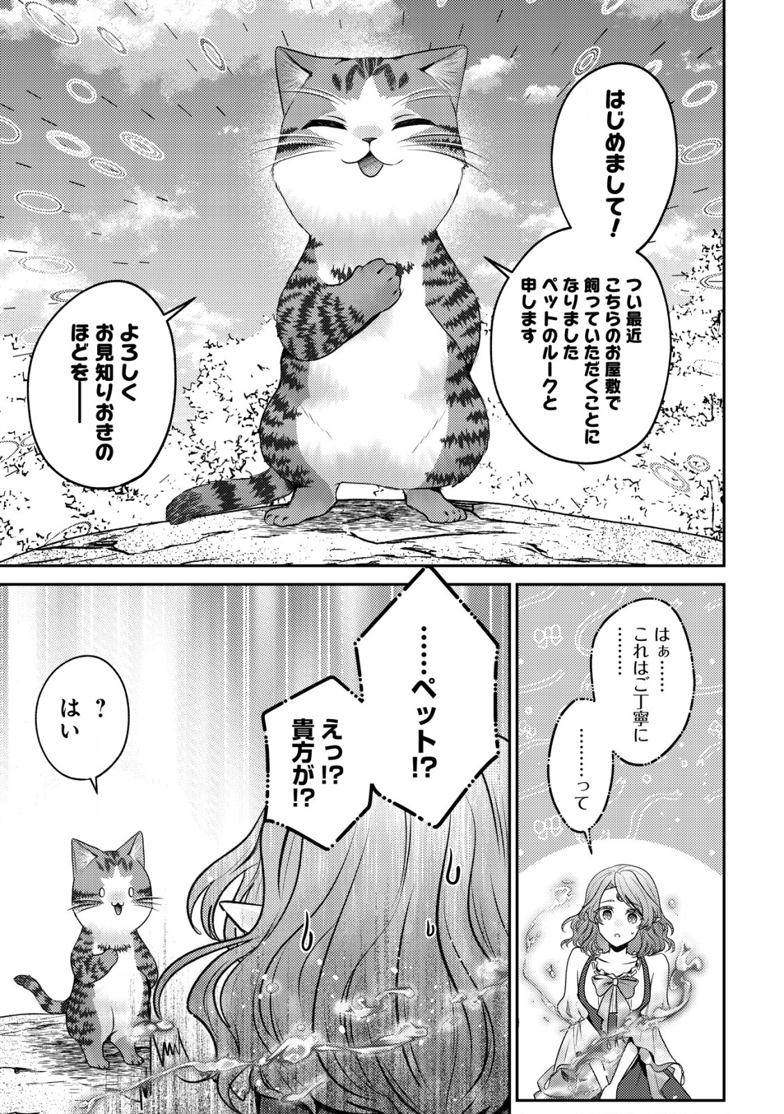 我輩は猫魔導師である～キジトラ・ルークの快適チート猫生活～ 第17話 - Page 5