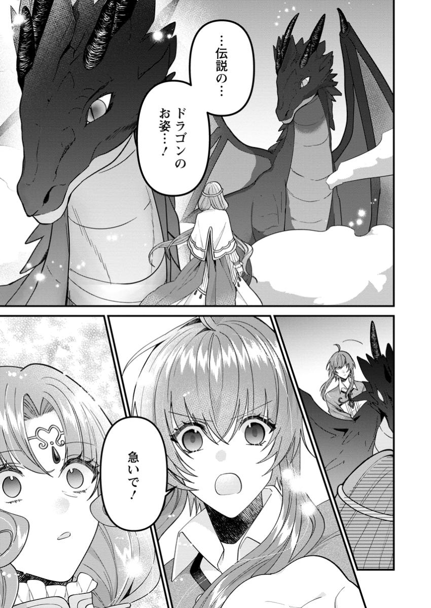 わたし、聖女じゃありませんから 第32.3話 - Page 5