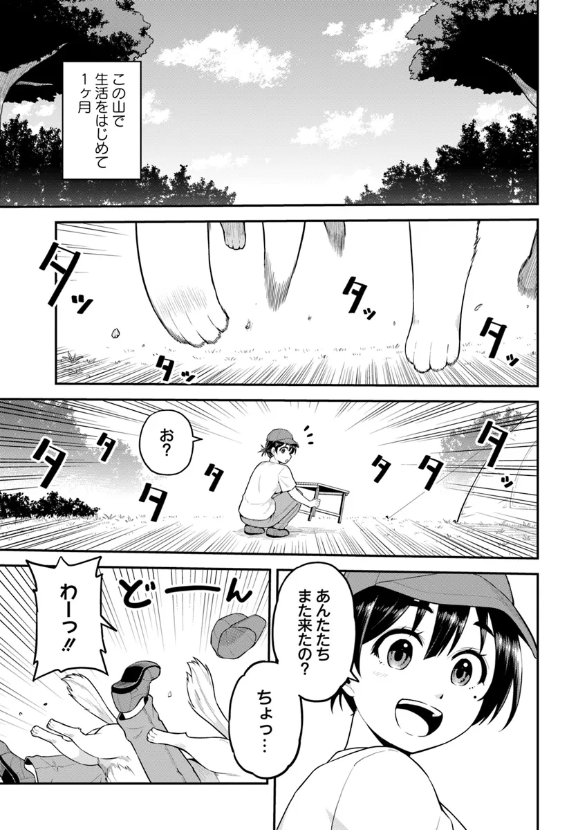 山、買いました 〜異世界暮らしも悪くない〜 第3.2話 - Page 17